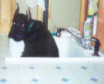 grady1stbath-web.jpg